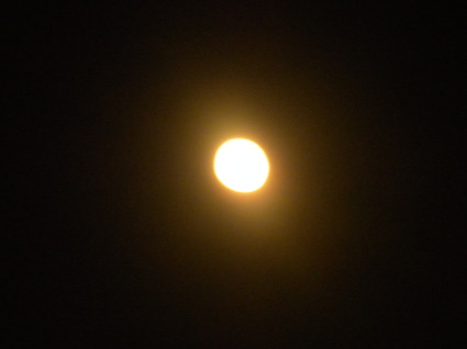 Moon Over Alexandria