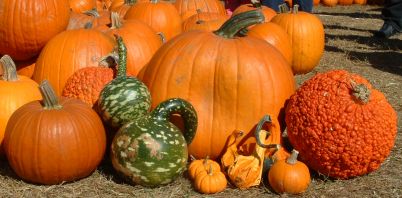 X Pumpkins0019